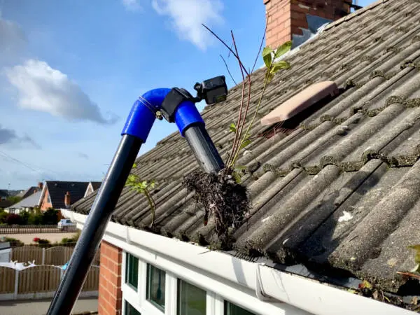 Gutter Cleaning Services